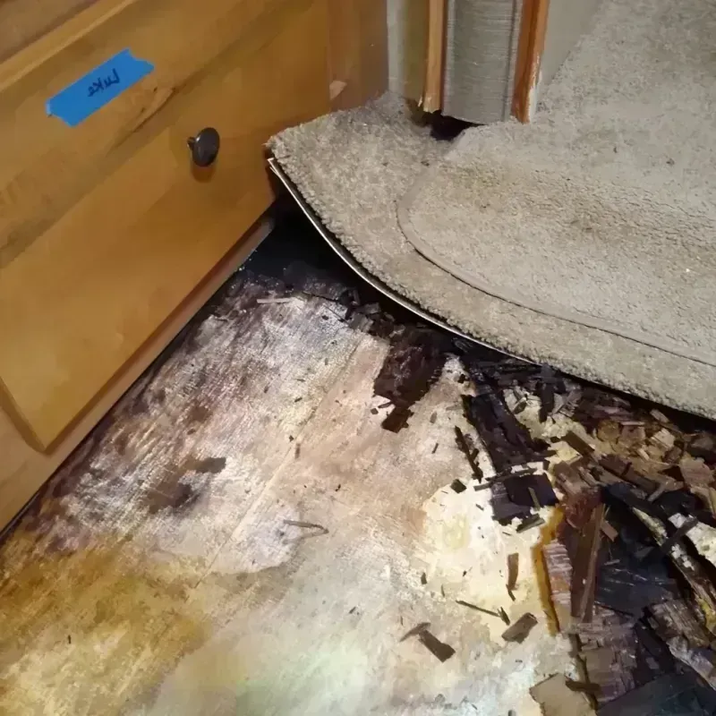 Wood Floor Water Damage in Boulder City, NV